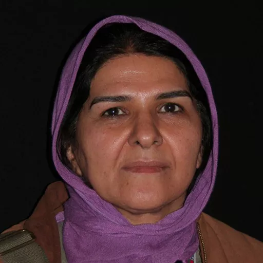 انسیه شاه حسینی