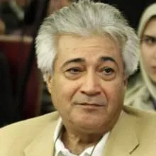محمد نیک بین