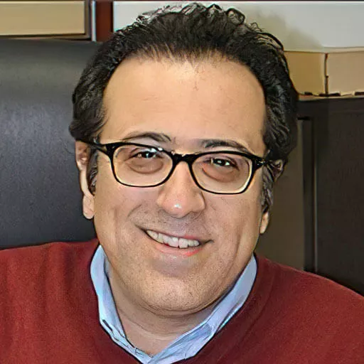سید مسعود صفوی