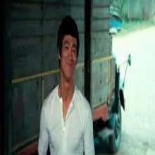 وانگ فو لینگ