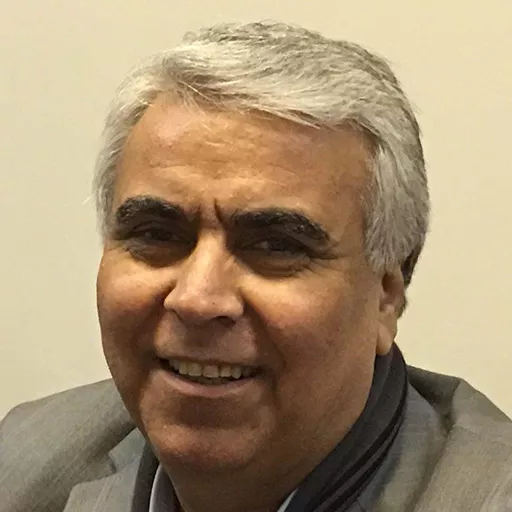 سید ضیاء هاشمی
