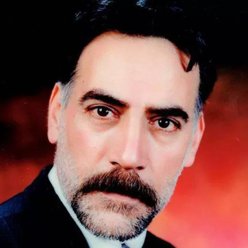 هادی اسلامی