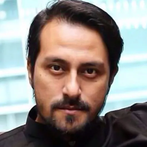 برانت پالارائی