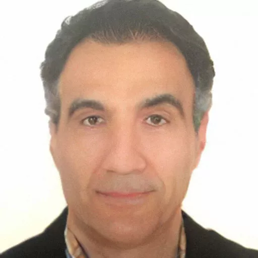 محسن شاه محمد میراب