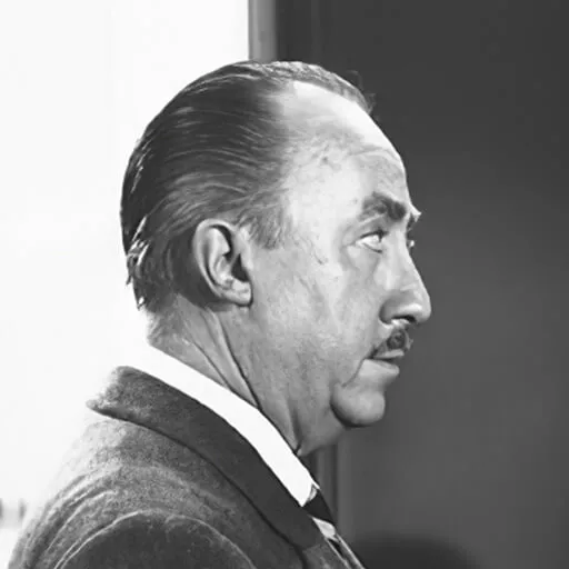 لوماکس استادی