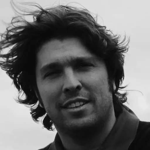 گائل نوآی
