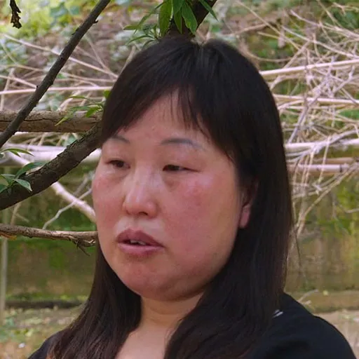 Meilin Duan
