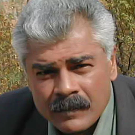 شارات ساکسنا