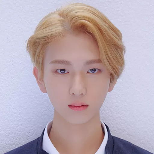 Baek Seung