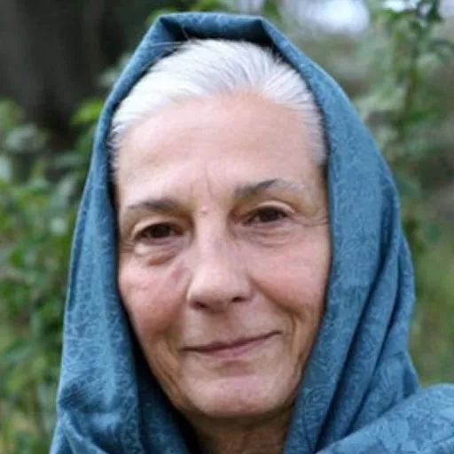 Yildiz Kültür