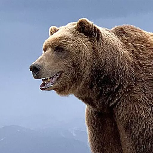 Bart the Bear