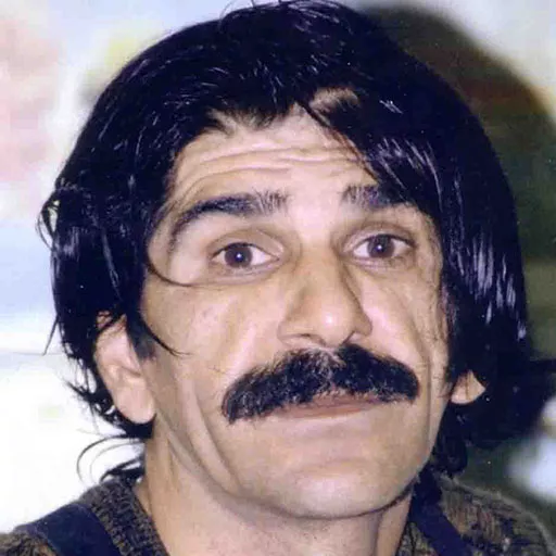 حسین پناهی