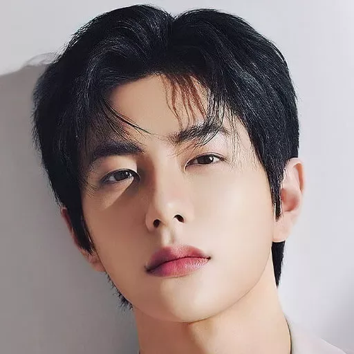 Choi Bo-Min