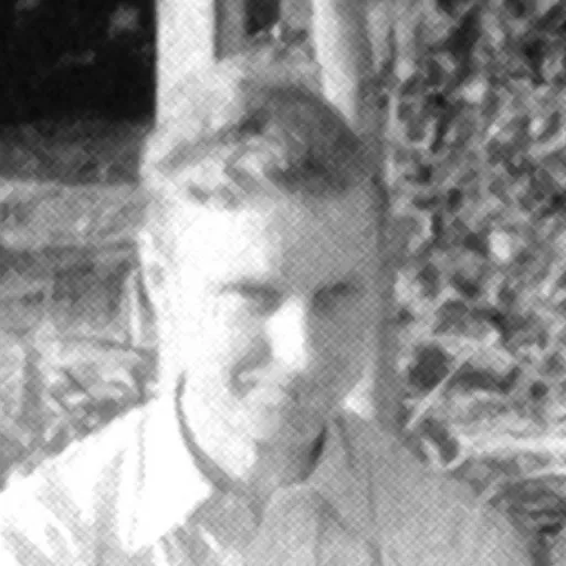 Jan Read