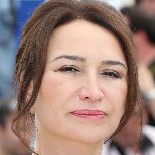 دمت آک بگ