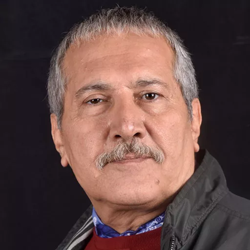 شاهرخ فروتنیان