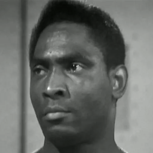 Roy Stewart