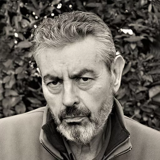 David Brandon