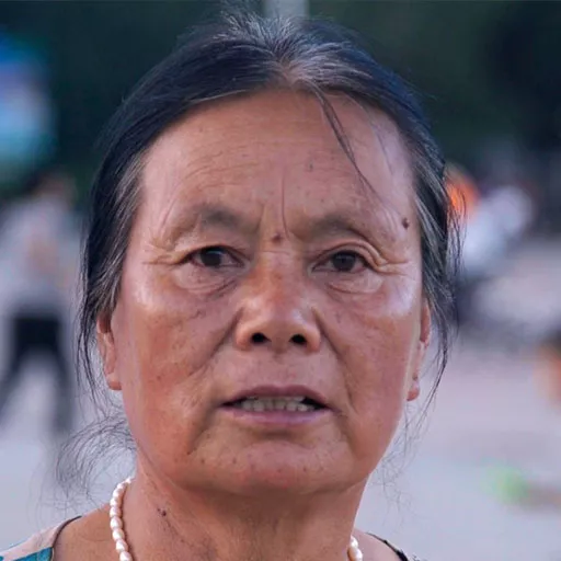 Shuqin Jiang