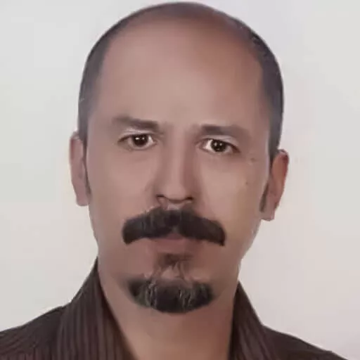 محمدرضا مویینی