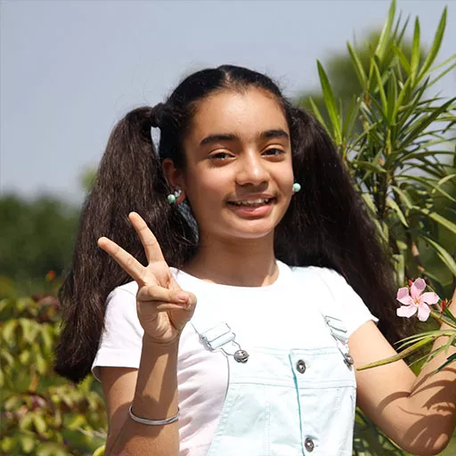 سینا انند