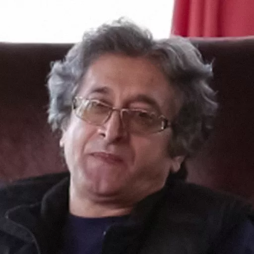 محسن شاه‌محمدی