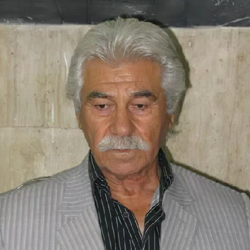 رفیع مددکار