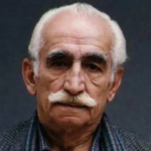 جعفر بزرگی