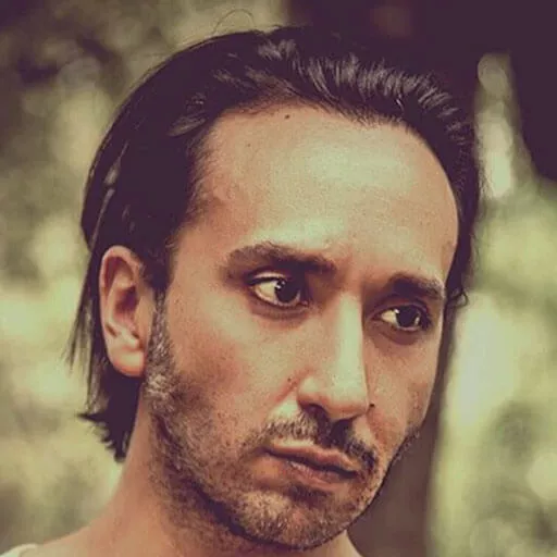 David Fridman