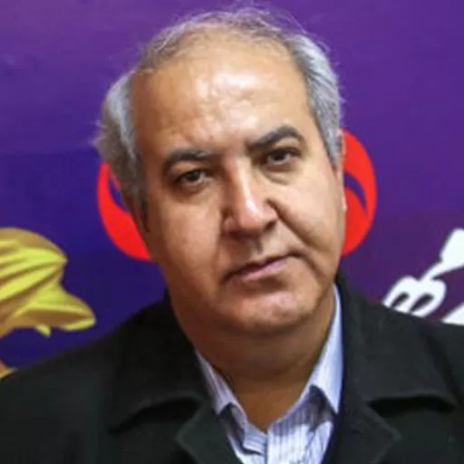 حسن نجفی