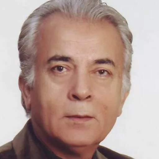 رضا بانکی